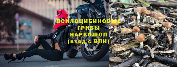ALPHA PVP Мегион