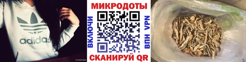 Купить закладки  Лебедянь  Псилоцибиновые грибы Psilocybine cubensis 