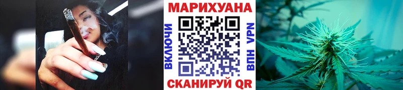 Бошки Шишки план Лебедянь